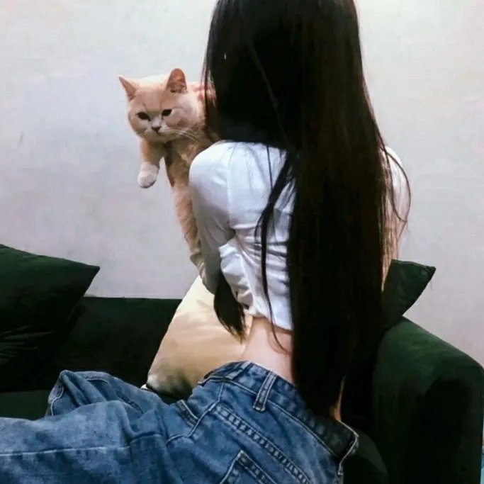 酷条子